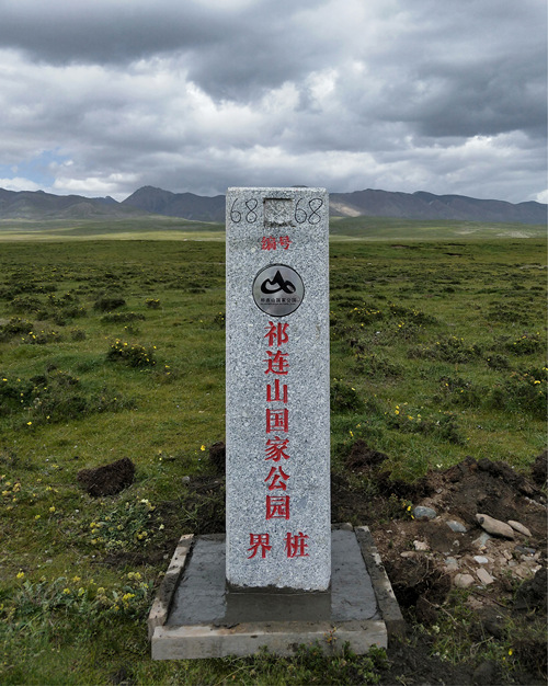 扎牢祁连山国家公园青海片区生态安全"防护网"——祁连山国家公园青海