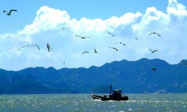 让绿水青山颜值更高、金山银山成色更足