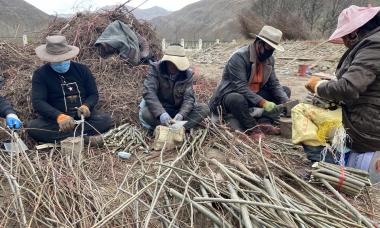 【新时代·新玉树·新生活】让高原铺绿是我们对国家最好的报答