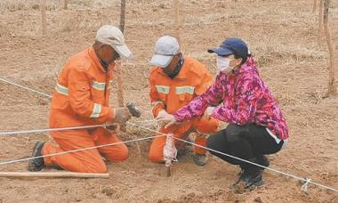 植绿江源 为新一轮国土绿化开路助力