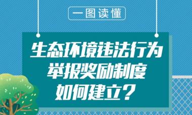 一图读懂丨生态环境违法行为举报奖励制度如何建立？