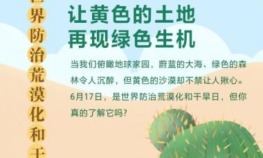 世界防治荒漠化和干旱日：让黄色的土地再现绿色生机