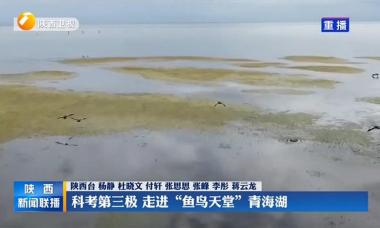 [陕西新闻联播]科考第三极 走进“鱼鸟天堂”青海湖