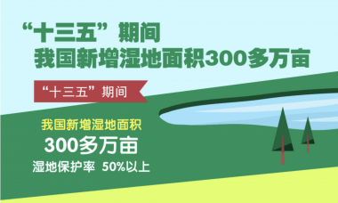 水坑、泥巴地…… 请叫我湿地，我比你想象的更重要！