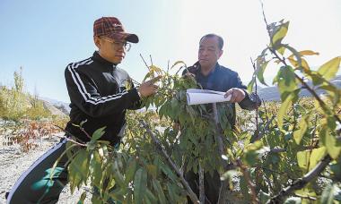 民和：半城绿树半城水