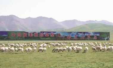 巍巍祁连： 绿水青山唱响产业扶贫之歌