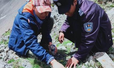 黄南州泽库县境内再次发现雪豹踪迹