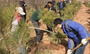 绿染三江源——青海一年造林400万亩筑牢生态屏障