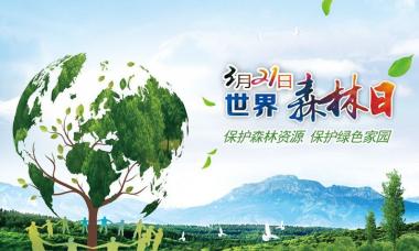 世界森林日｜创建可持续城市 全国人居“绿色”生态环境明显改善