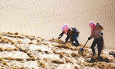 荒漠化治理的中国“药方”：顺应自然，低覆盖度治沙