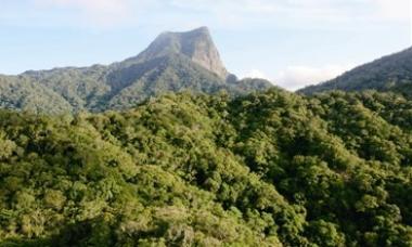 全球生物多样性和生态系统服务变化趋势（世界脉动）