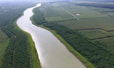 青海省国土绿化建设样样出精品国土绿化提速三年行动圆满收官