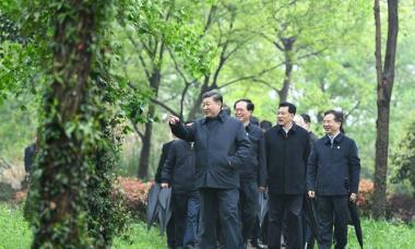 习近平：让湿地公园成为人民群众共享的绿意空间