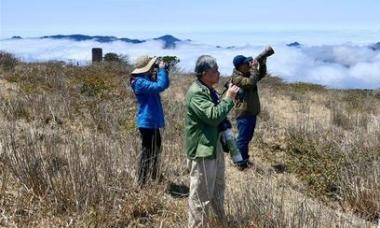 武夷山国家公园开展鸟类监测