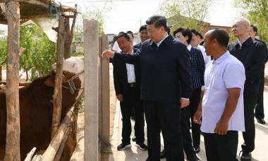 习近平赴宁夏考察调研