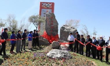 生态与发展相融、生态与经济双赢 中国太保三江源生态公益林正式落成