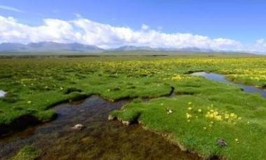 青海湿地面积跃居全国首位 三江源头重现千湖美景