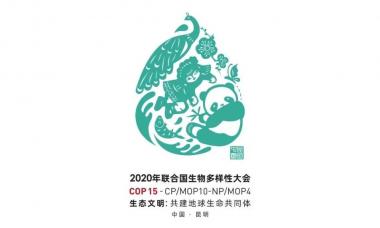 联合国《生物多样性公约》第十五次缔约方大会会期确定