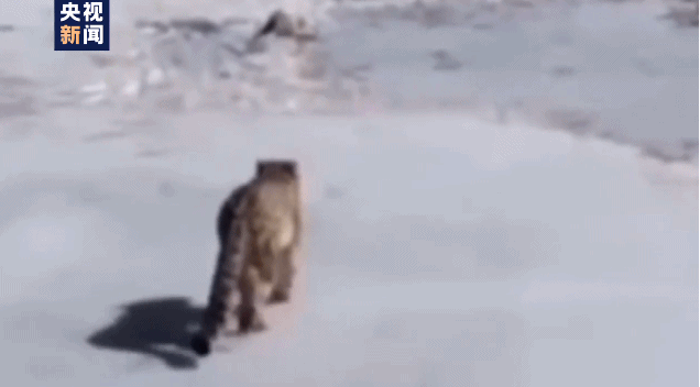 640 (1).gif